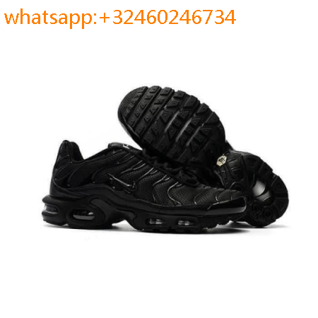 new tn requin