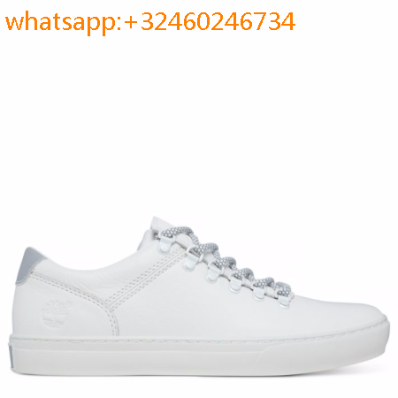 basket timberland homme blanche