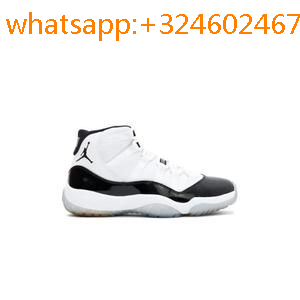 jordan retro 11 homme