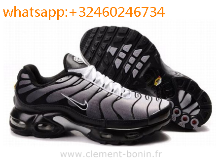 tn requin femme